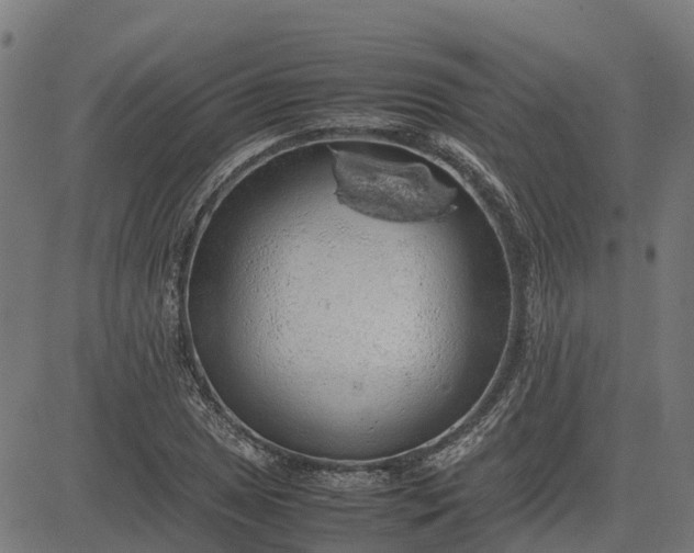 X0000082691025200702091652