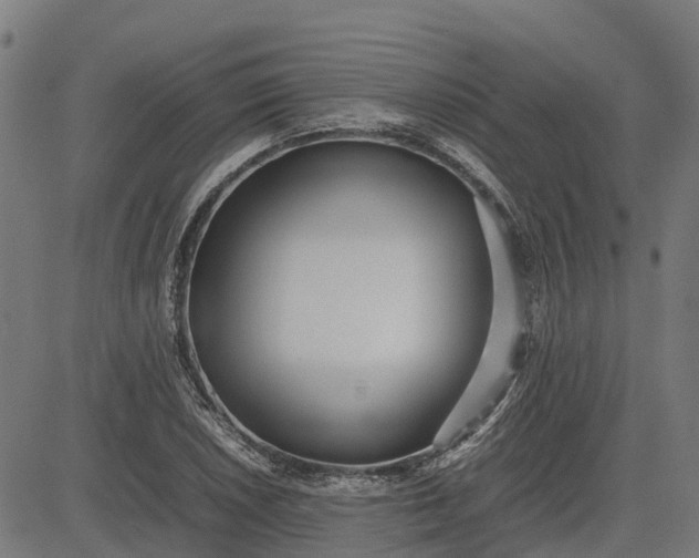 X0000082691026200702091652