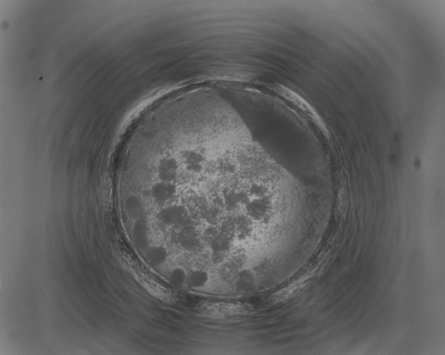 X0000082691027200702091652