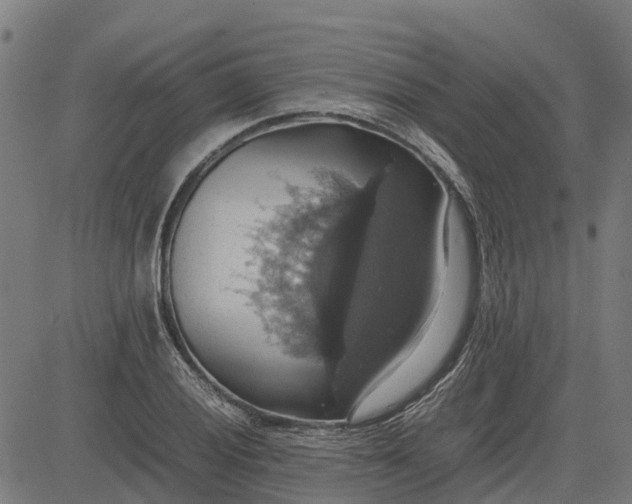 X0000082691028200702091652