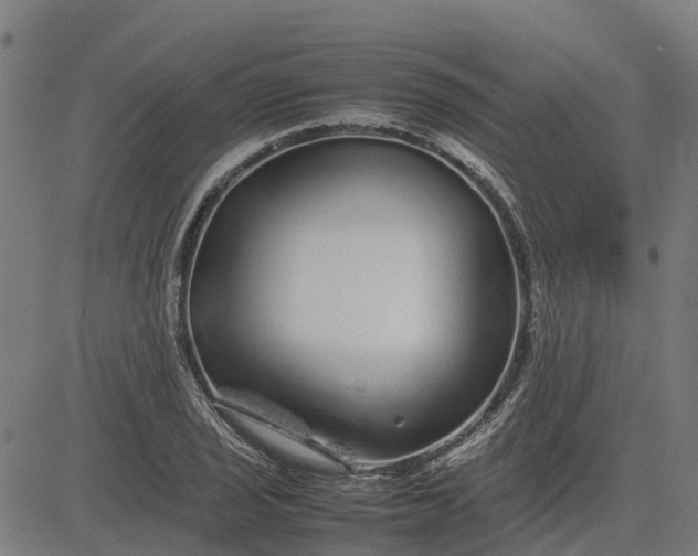 X0000082691029200702091652