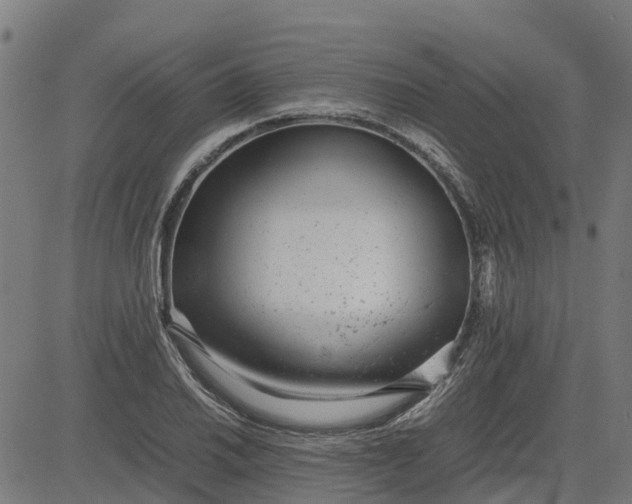 X0000082691030200702091652