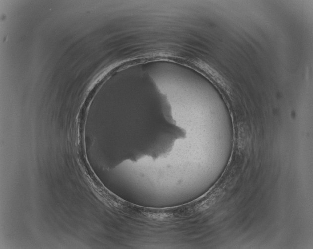 X0000082691031200702091652