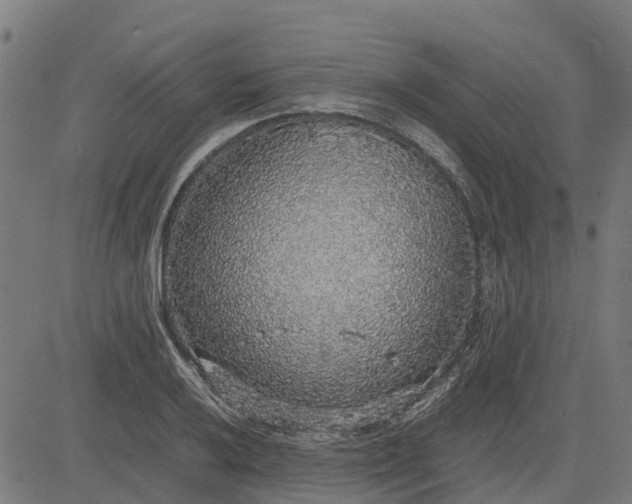 X0000082691032200702091652