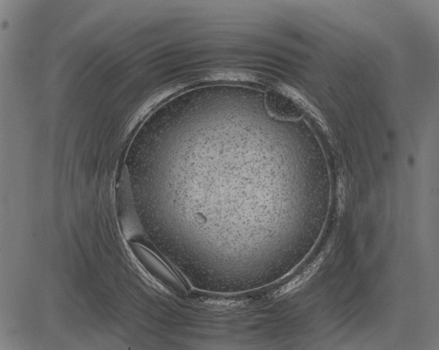 X0000082691033200702091652