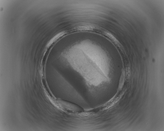 X0000082691034200702091652