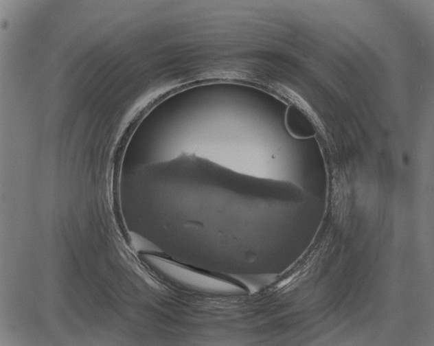 X0000082691035200702091652