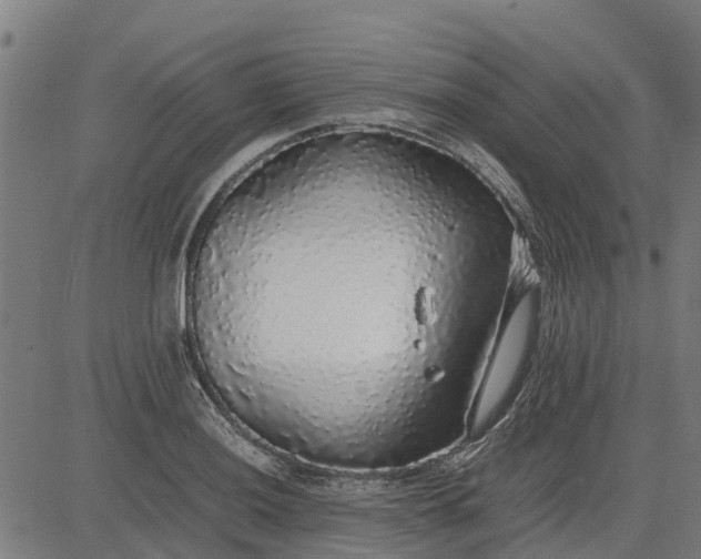 X0000082691036200702091652