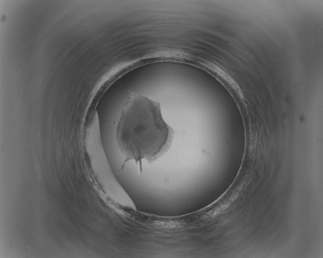 X0000082691037200702091652