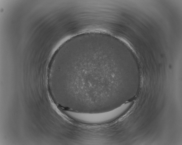 X0000082691038200702091652