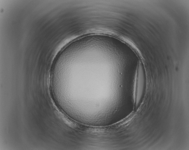 X0000082691040200702091652