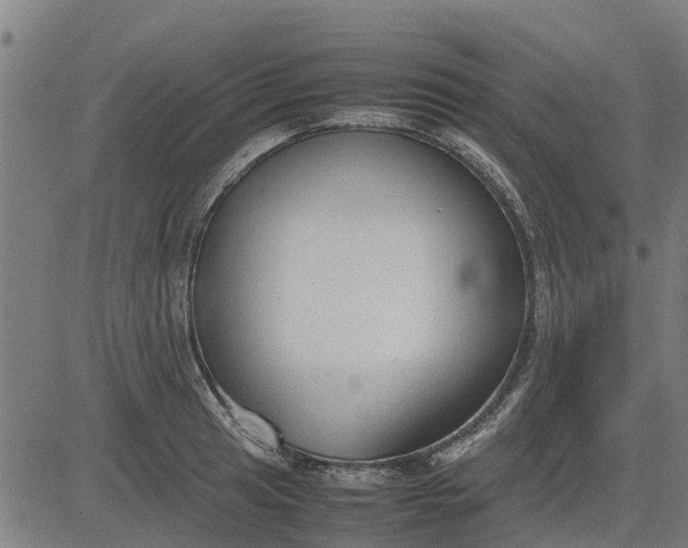 X0000082691041200702091652