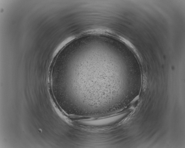 X0000082691042200702091652