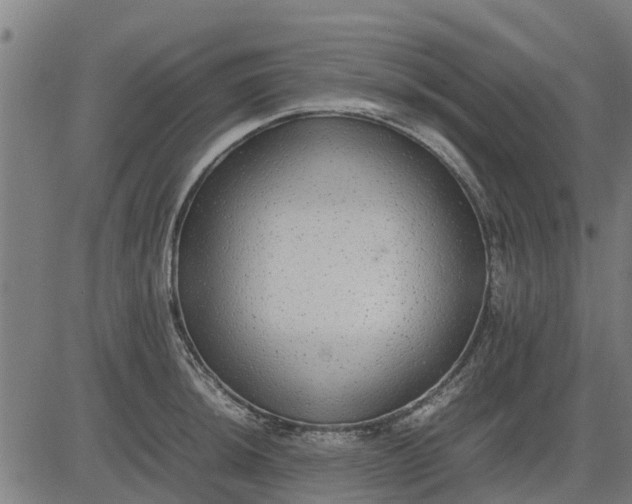 X0000082691044200702091652