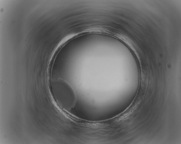 X0000082691045200702091652