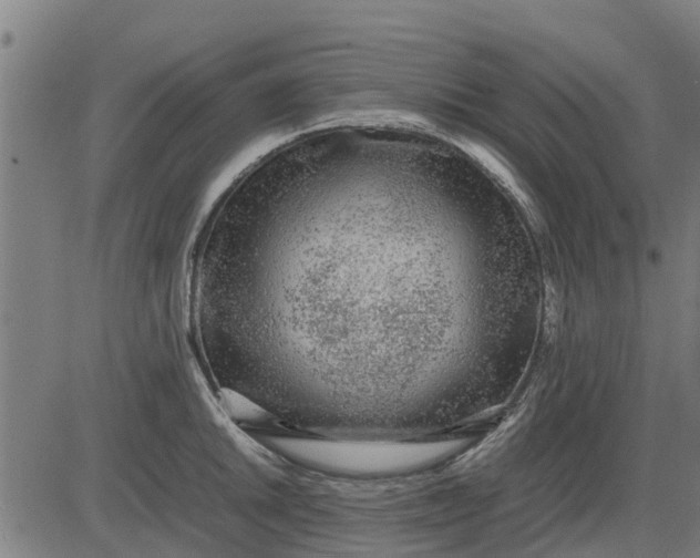 X0000082691046200702091652