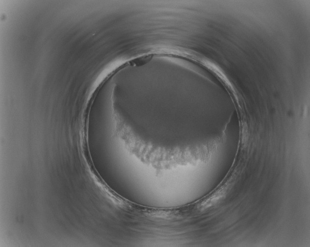 X0000082691048200702091652