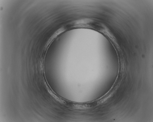 X0000082691049200702091652