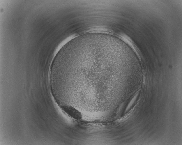 X0000082691050200702091652