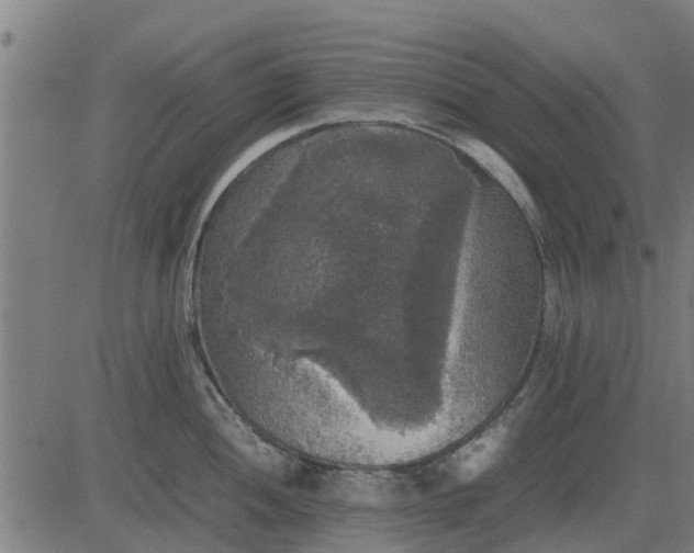 X0000082691052200702091652