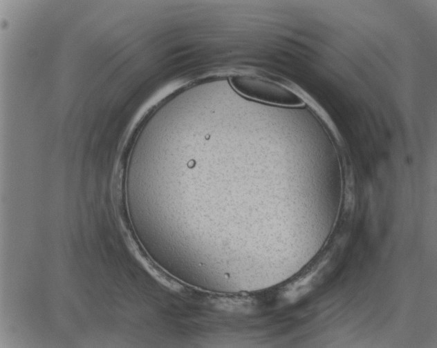 X0000082691053200702091652