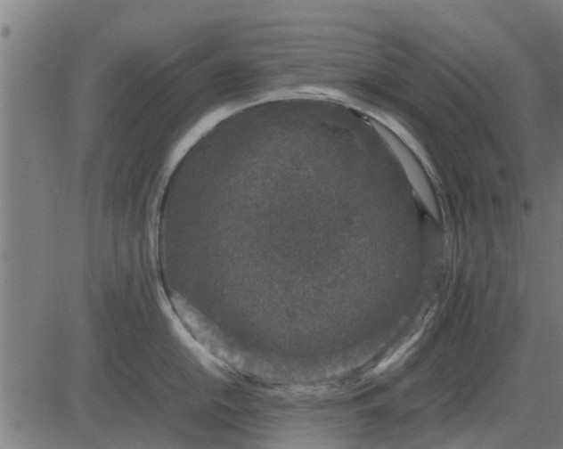 X0000082691054200702091652