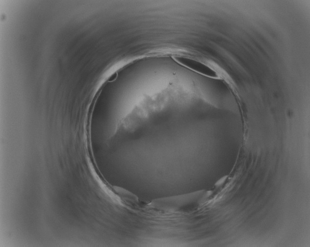 X0000082691055200702091652