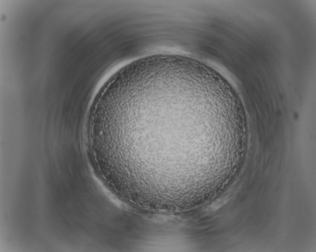 X0000082691056200702091652