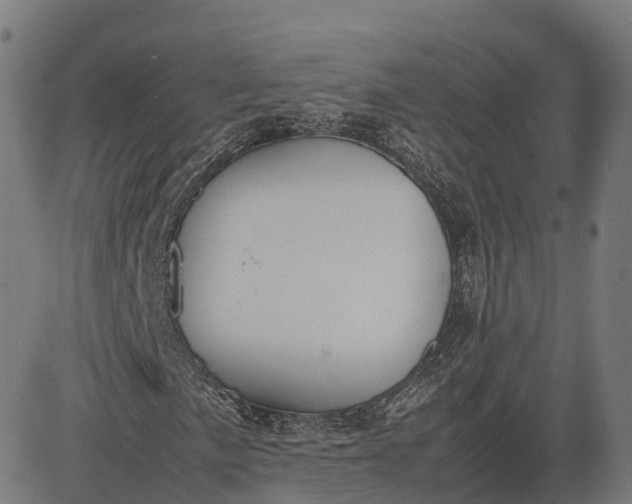 X0000082691057200702091652