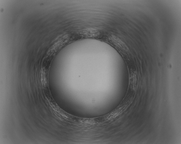 X0000082691058200702091652