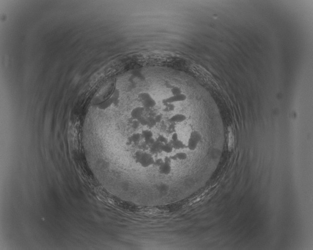 X0000082691059200702091652