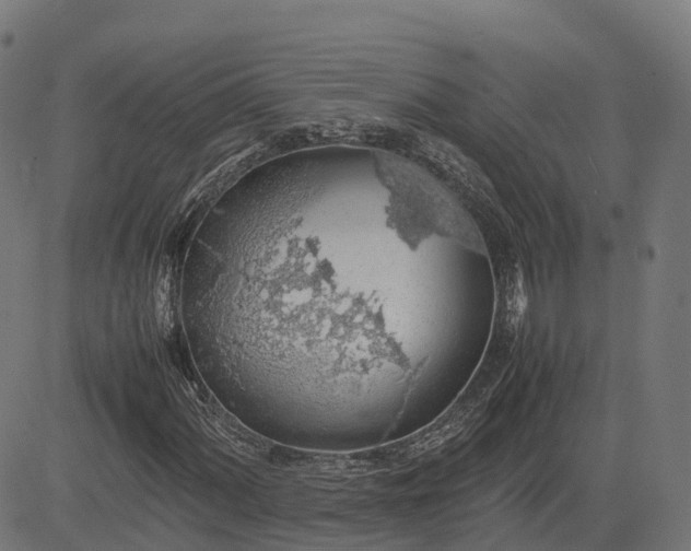 X0000082691060200702091652