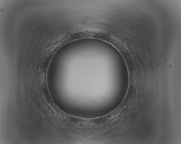 X0000082691061200702091652