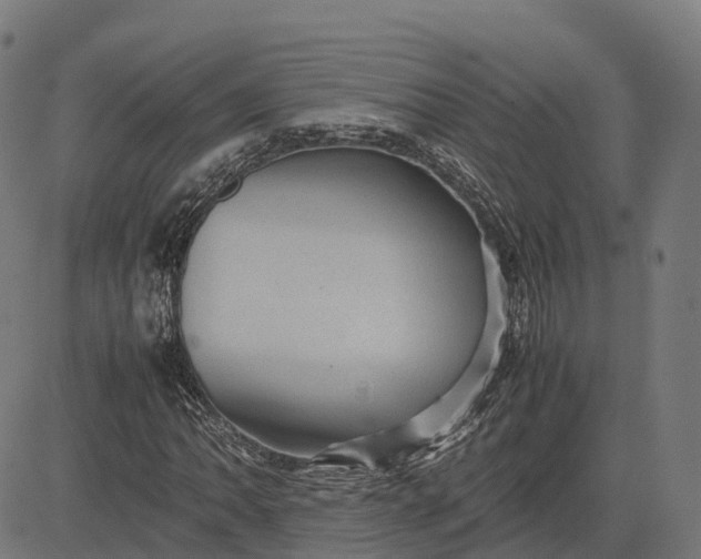 X0000082691062200702091652