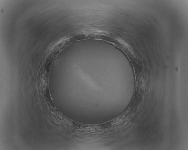 X0000082691063200702091652