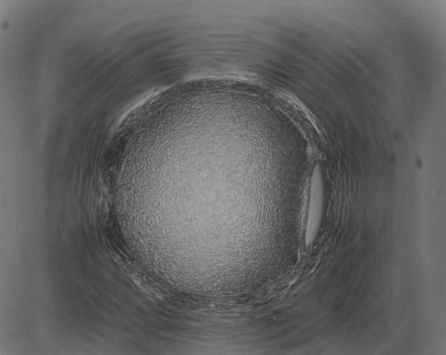 X0000082691064200702091652