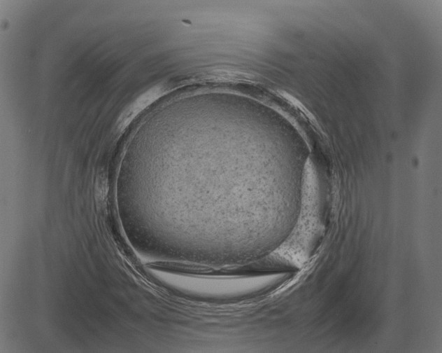 X0000082691065200702091651