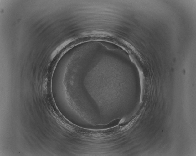 X0000082691066200702091651