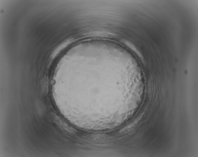 X0000082691067200702091651