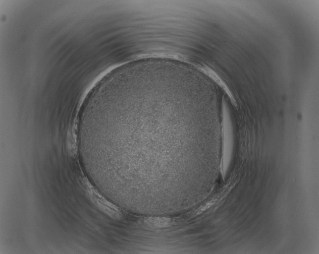 X0000082691068200702091651