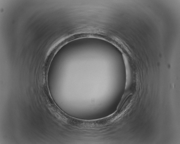 X0000082691069200702091651