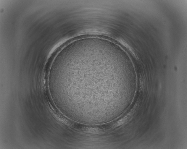 X0000082691070200702091651