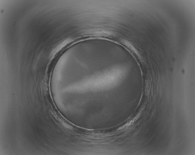 X0000082691071200702091651