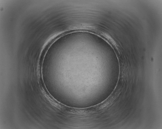 X0000082691072200702091651