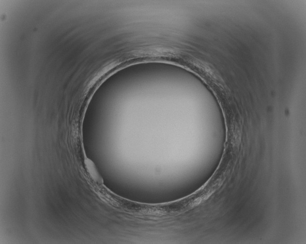 X0000082691073200702091651