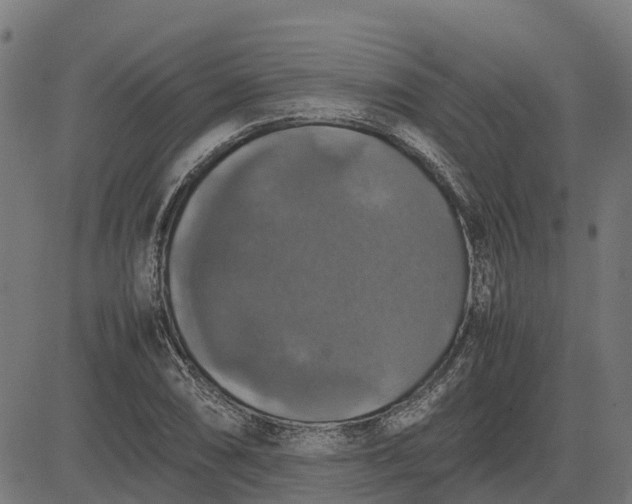 X0000082691074200702091651