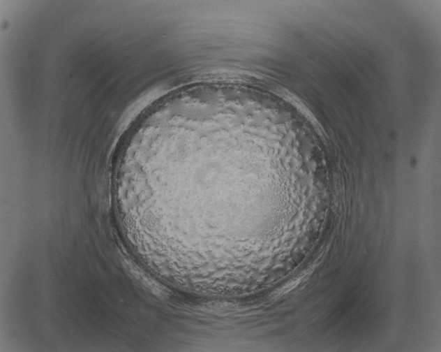 X0000082691075200702091651