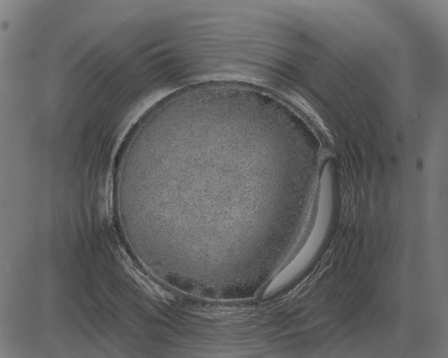 X0000082691076200702091651