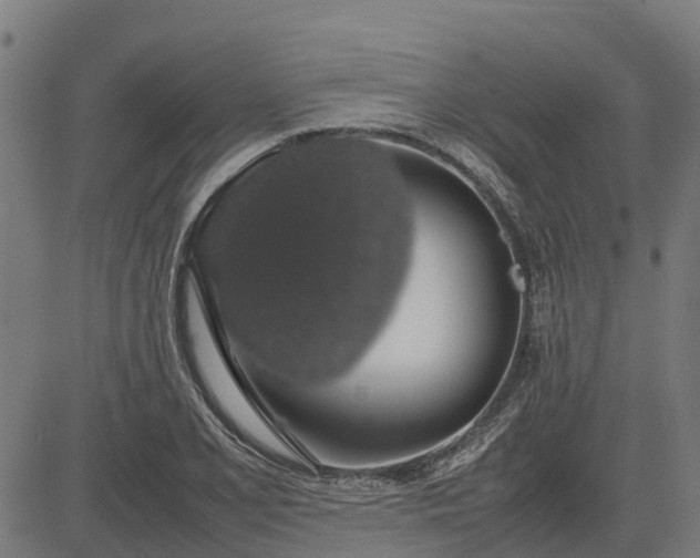 X0000082691077200702091651