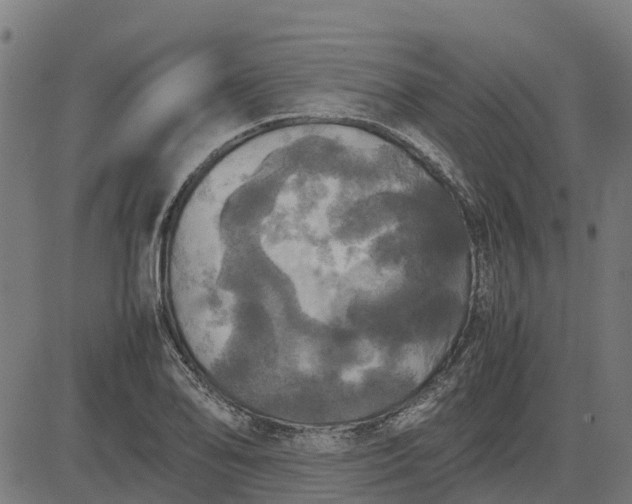 X0000082691078200702091651